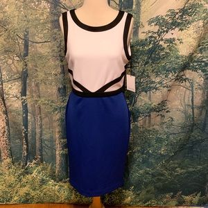 Calvin Klein Dress - New With Tags